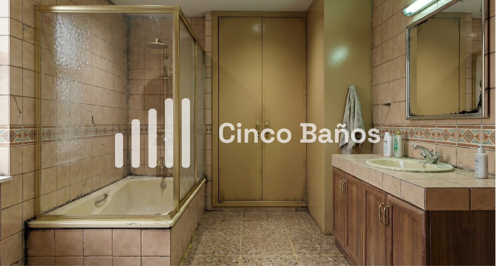 Baño en piso de Las Rozas, antes de la reforma